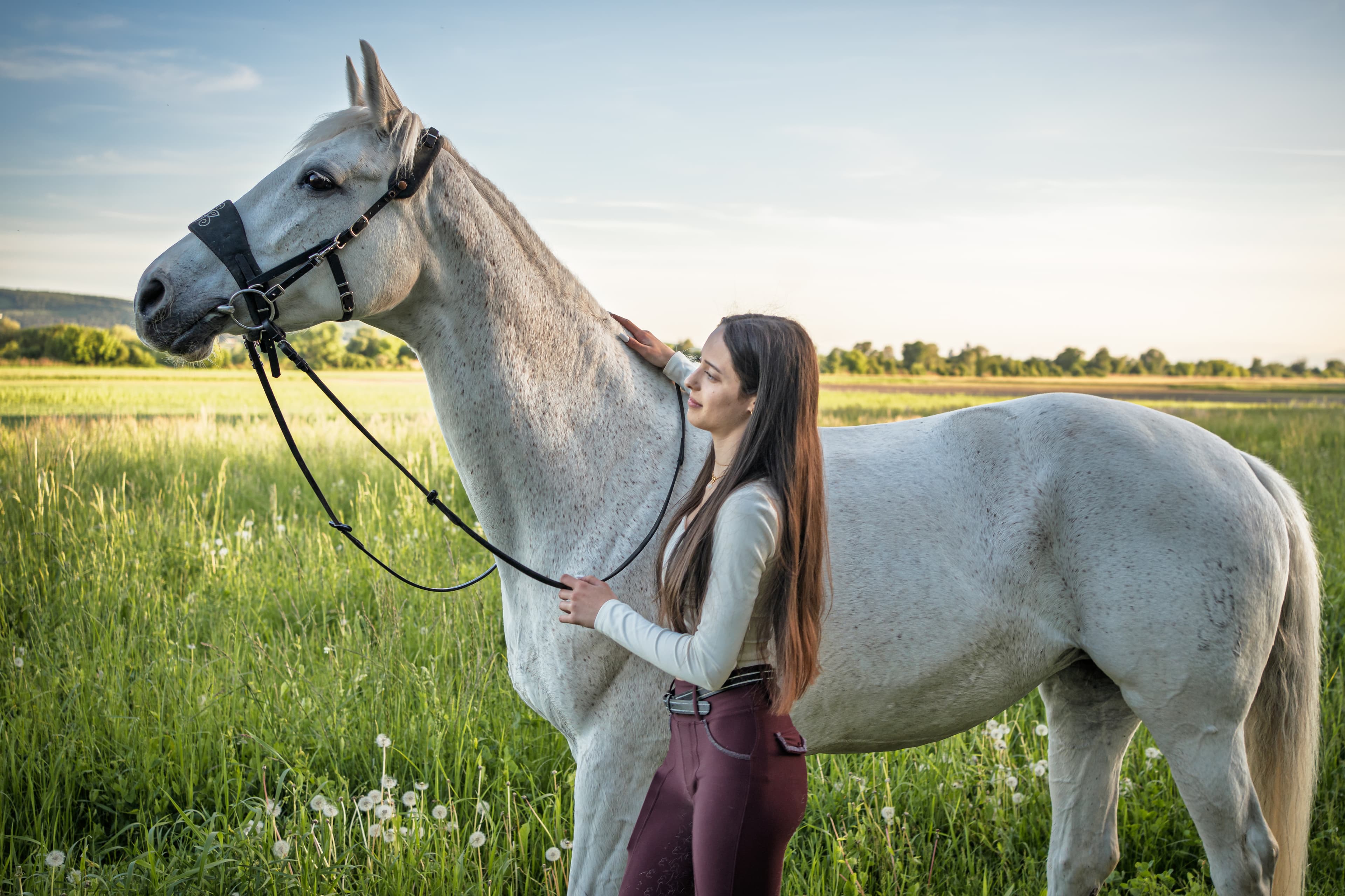 Galerie Vorschaubild Pferdeshooting