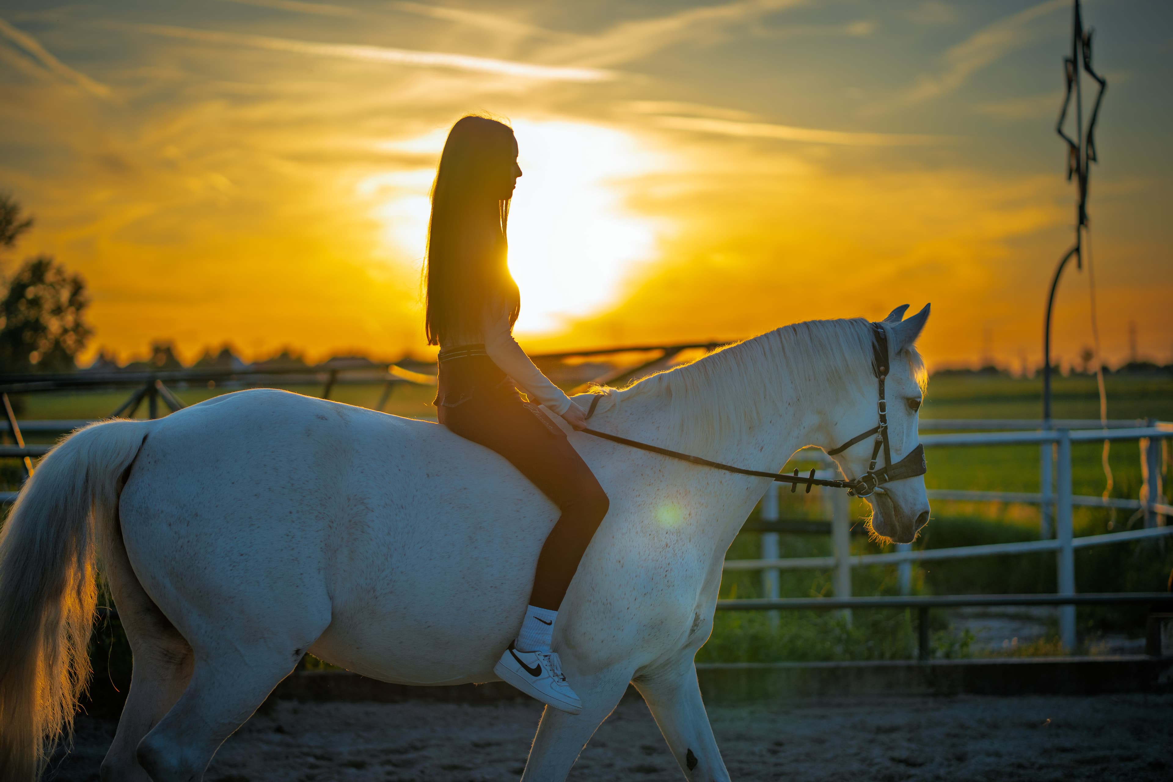 Profesionelles Portraitlicht und natürliche Stimmung